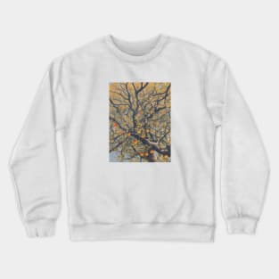 Apples Picture Beautiful Vintage Since Retro Crewneck Sweatshirt